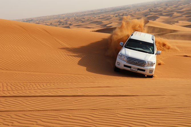 Desert Safari with BBQ Dinner (Sharing/Private) - What the $59 price really covers