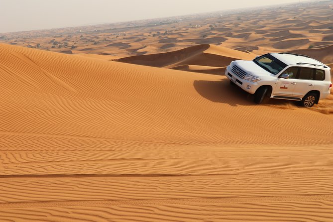 Desert Safari with BBQ Dinner (Sharing/Private) - How the guide shapes the evening