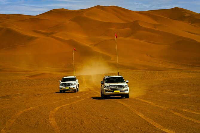 Desert Safari with Camel Riding and BBQ Dinner - Timing, Pickup, and Physical Comfort