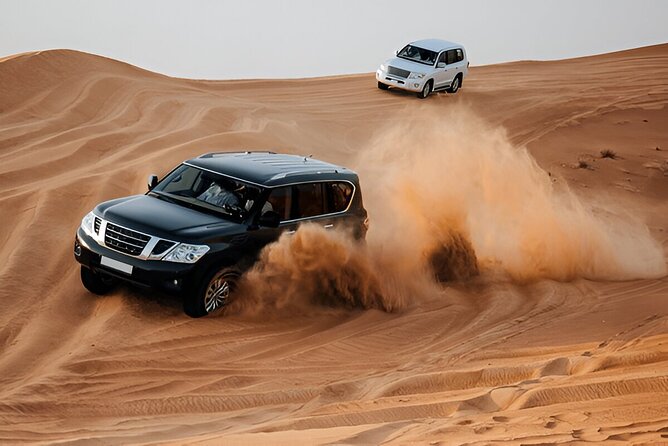 Desert Safari with Dune bashing BBQ Dinner and More Activities - Key points to know before booking
