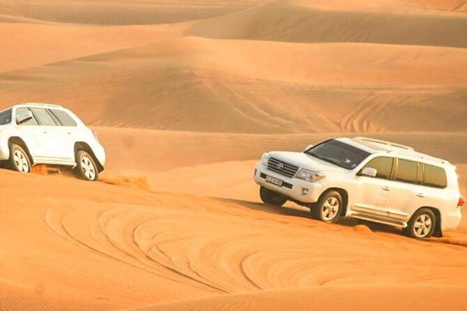 Desert Safari with Dune bashing BBQ Dinner and More Activities - Sand boarding and the desert stop