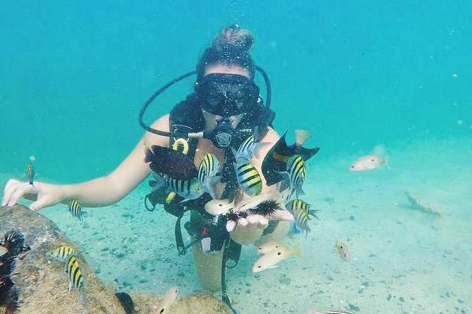 Discover Scuba Diving in Dubai - The best way to judge the underwater scenery