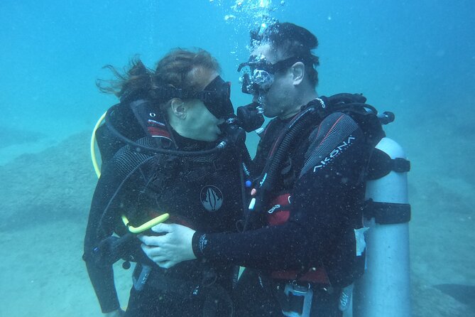 Discovery Scuba Diving in Dubai - Starting on 2nd December Street in Dubai