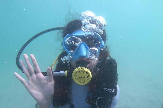 Discovery Scuba Diving in Dubai - The Briefing Makes This Suitable for Beginners