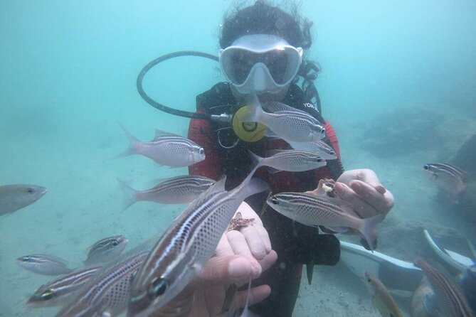 Discovery Scuba Diving in Dubai - What $79 Buys You
