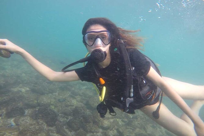 Discovery Scuba Diving in Dubai - Advice for Non-Swimmers and Nervous Beginners