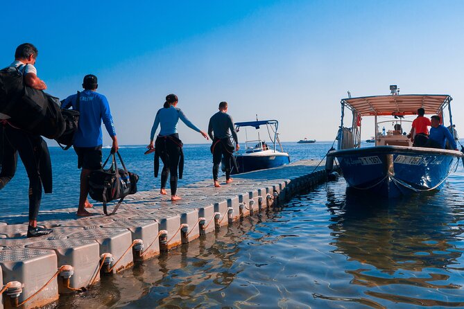 Dive trip to the coral reefs of Fujairah for certified scuba divers - Why Fujairah is worth the early start
