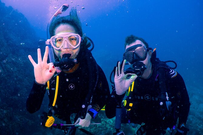 Dive trip to the coral reefs of Fujairah for certified scuba divers - What happens during the two reef sessions