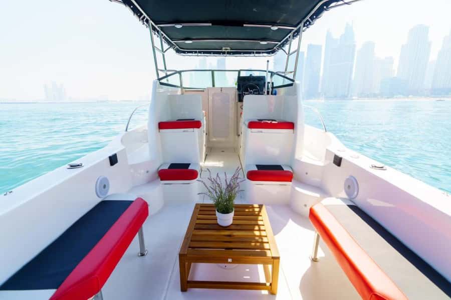 Dubai: 4-Hour Deep Sea Fishing, Trolling, Casting - Who will enjoy it most