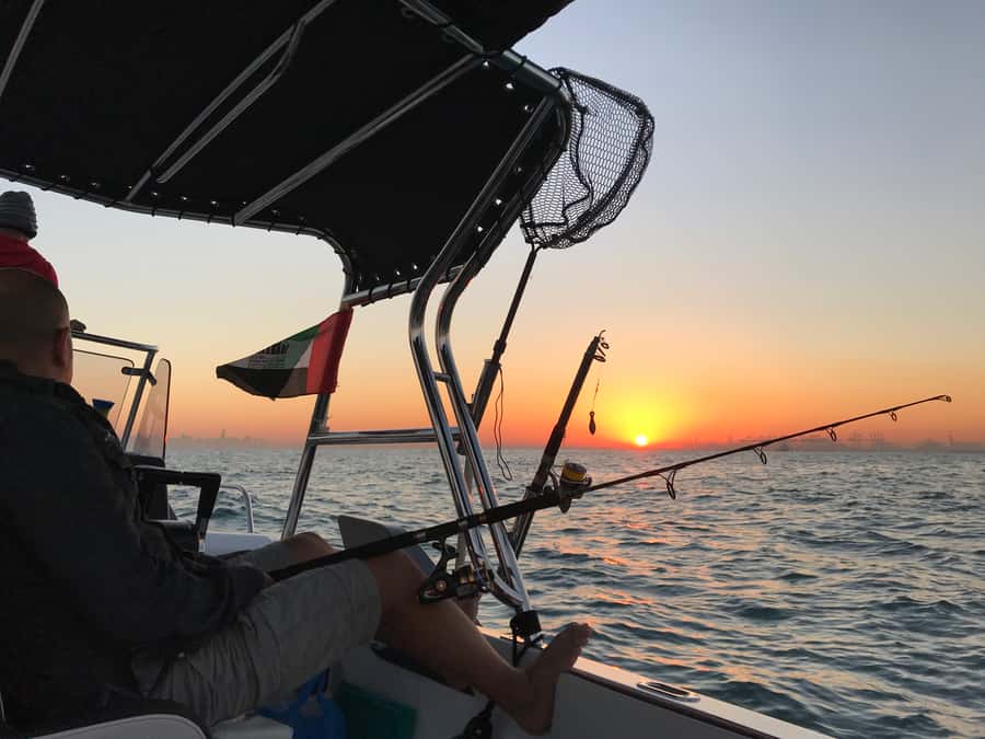 Dubai: 4-Hour Private Deep Sea/Trolling Fishing Trip - Is $505 a fair price?
