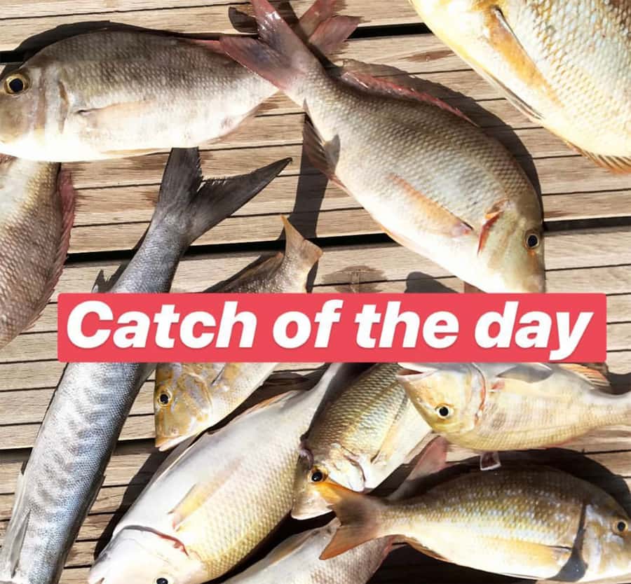 Dubai: 4-Hour Private Deep Sea/Trolling Fishing Trip - Who should book this charter?