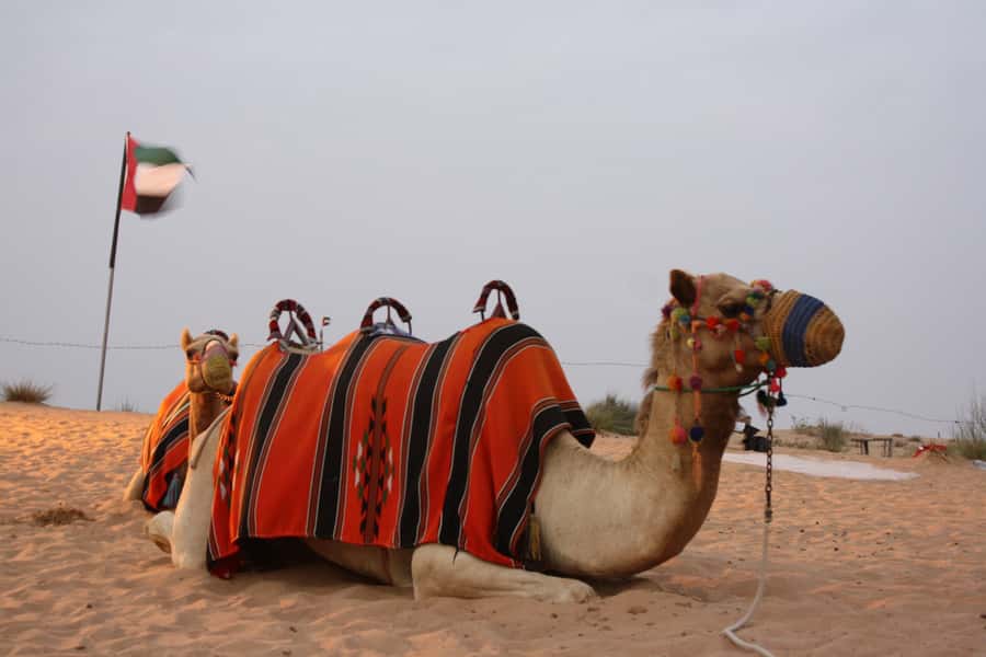 Dubai 4WD Evening Desert Safari - Leaving Dubai for the open desert
