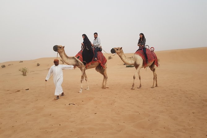 Dubai 4x4 Desert Safari, Quad Bike, Camel Ride & BBQ Dinner - BBQ dinner and the evening shows