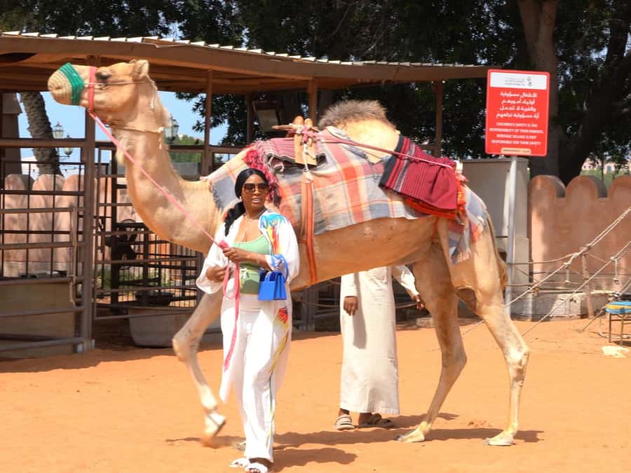 Dubai & Abu Dhabi: 2-Day Tour with Desert Safari - What $151 buys you