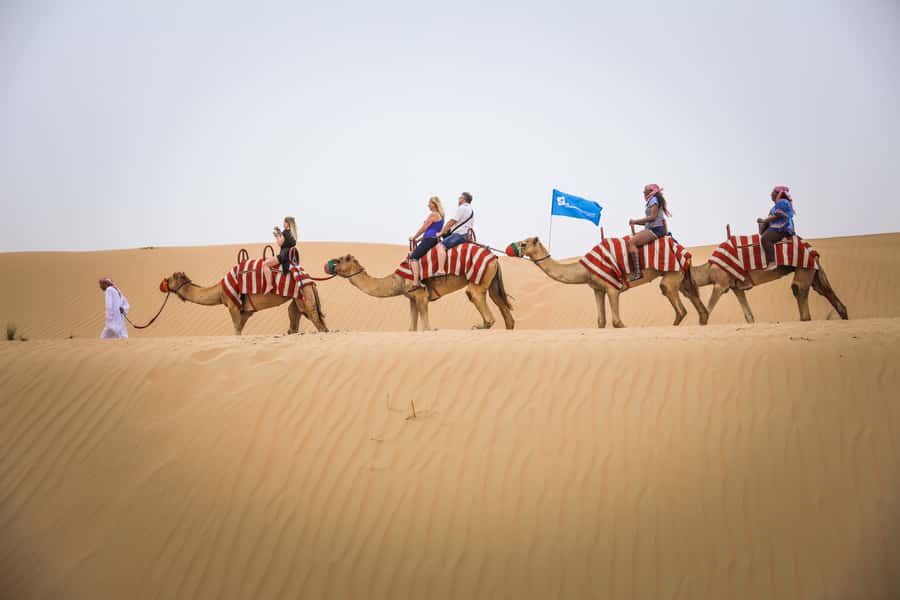 Dubai: Adventure Quad Bike Safari, Camel Ride & Refreshment - Choosing morning or afternoon