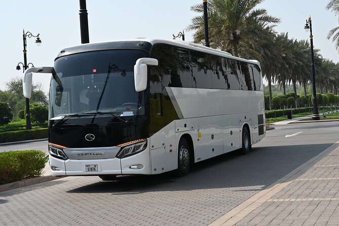 Dubai Airport (DXB): Private Arrival or Departure Transfers - Vehicle choices and comfort