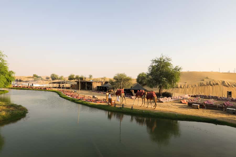Dubai: Al Marmoom and Al Qudra Lakes Guided Tour with Dinner - From Dubai pickup to Al Marmoom Oasis
