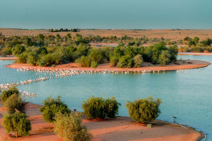 Dubai: Al Marmoom and Al Qudra Lakes Guided Tour with Dinner - Love Lake for photographs and quiet desert views