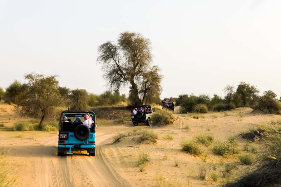 Dubai: Al Marmoom and Al Qudra Lakes Guided Tour with Dinner - Dinner and Bedouin-style evening at the oasis