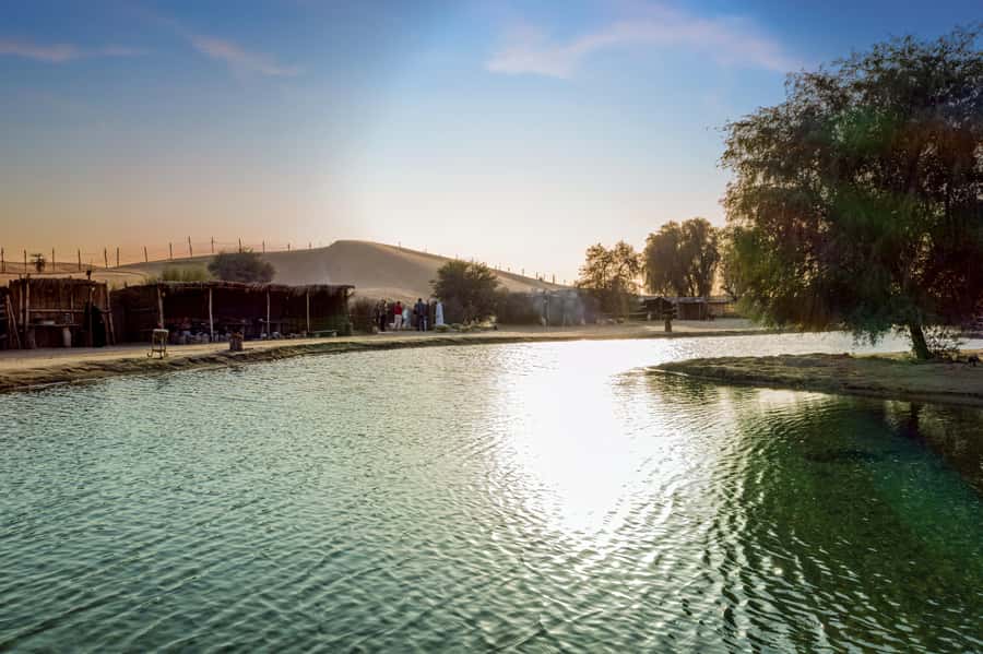 Dubai: Al Marmoom Oasis Safari, Animal Spotting & Breakfast - Coffee, dates, and the Bedouin village