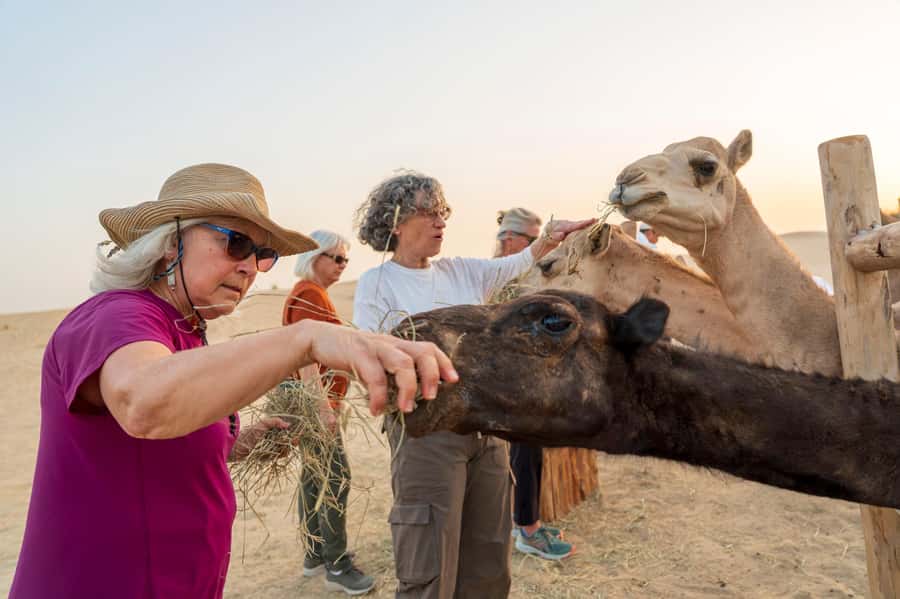 Dubai: Al Marmoom Oasis Safari, Animal Spotting & Breakfast - The Emirati breakfast is more than a snack
