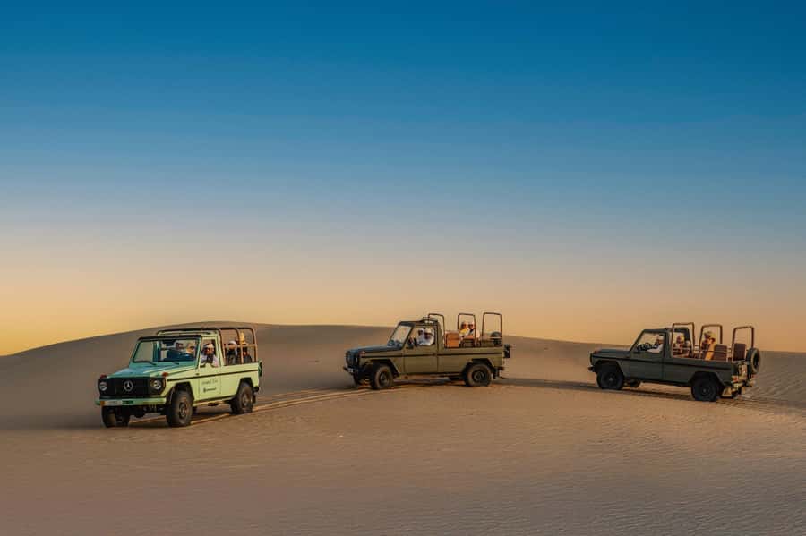 Dubai: Al Marmoom Oasis Safari, Animal Spotting & Breakfast - Hotel pickup and the early start