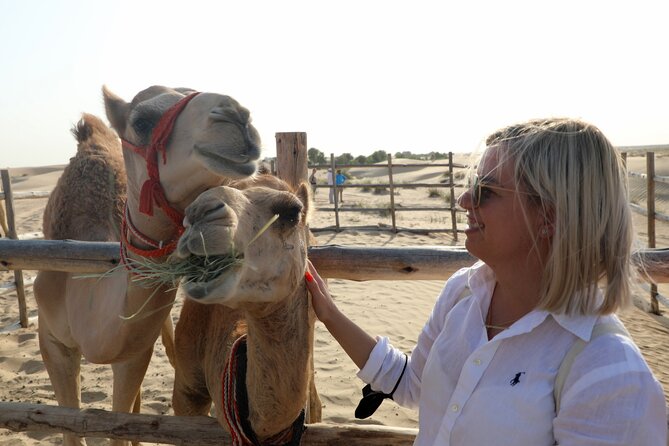Dubai: Al Marmoom Oasis Vintage Safari: Camels, Stargazing & Meal - A six-hour evening in Al Marmoom