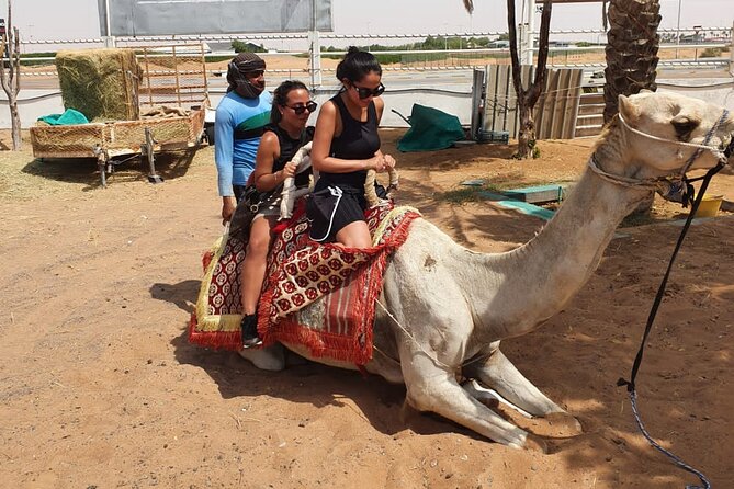 Dubai: All Inclusive Desert Safari with ATV, Camel, Horse ride, Vip & more - Is $164.50 good value?