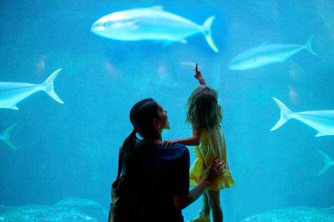 Dubai Aquarium and Underwater Zoo - Three zones give the Underwater Zoo its shape