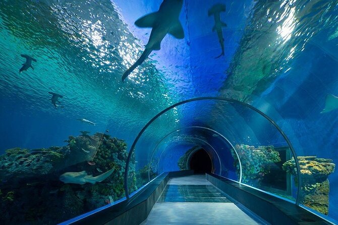 Dubai Aquarium and Underwater Zoo - Skip-the-line needs a careful explanation