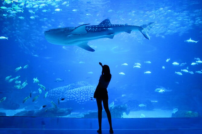 Dubai Aquarium and Underwater Zoo - How to fit the aquarium into your Dubai day