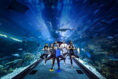 Dubai Aquarium and Underwater Zoo Admission Ticket with Options