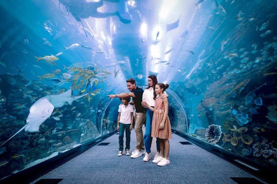 Dubai: Aquarium and Underwater Zoo Experience - Key points to know before you book