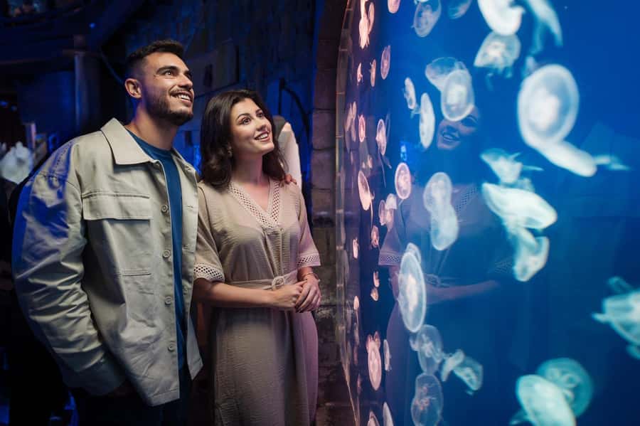 Dubai: Aquarium and Underwater Zoo Experience - The giant tank inside Dubai Mall