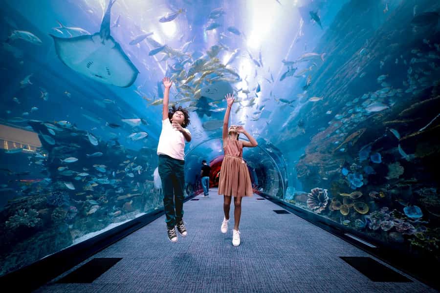 Dubai: Aquarium and Underwater Zoo Experience - How long to allow and who will enjoy it
