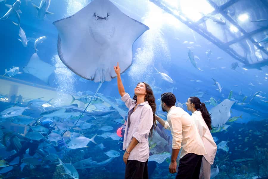 Dubai: Aquarium and Underwater Zoo Experience - Practical details that affect your visit
