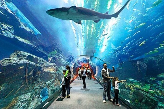 Dubai Aquarium and Underwater Zoo with Penguin Cove Tickets. - Timing matters inside The Dubai Mall
