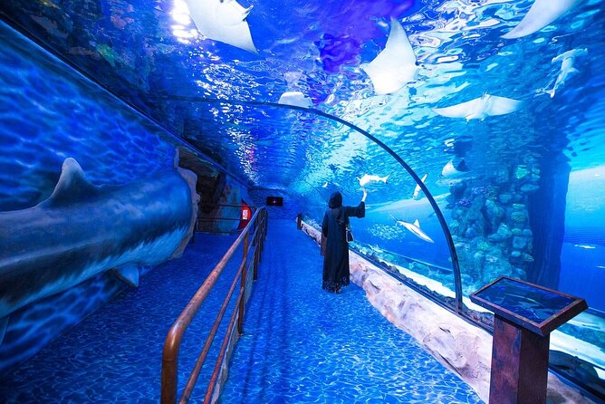 Dubai Aquarium and Underwater Zoo with Penguin Cove Tickets. - Who will enjoy this visit most?