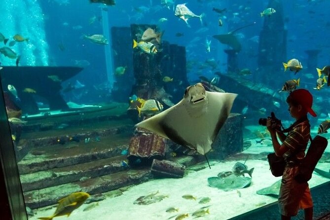 Dubai Aquarium and Underwater Zoo with Penguin Cove Tickets. - Extra activities can change the value