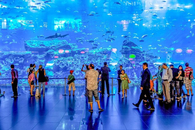 Dubai Aquarium and Underwater Zoo - King Croc adds a memorable land animal
