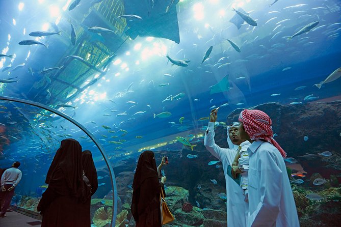Dubai Aquarium + Penguin Cove Tickets with Transfers - Who will enjoy this experience most?