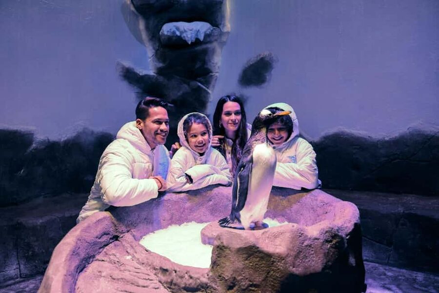 Dubai Aquarium + Sky Views Observatory Tickets - Who will enjoy this combination most