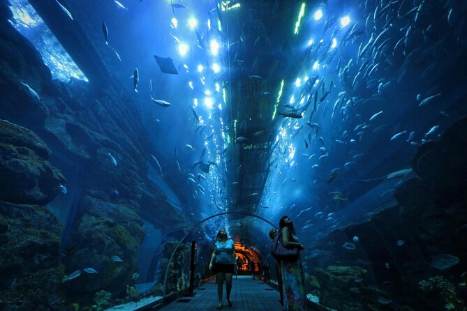 Dubai Aquarium underater zoo penguin cove with optional transport - Key points to know before you book