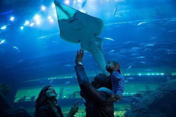 Dubai Aquarium underater zoo penguin cove with optional transport - Penguin Cove and the cost of getting close