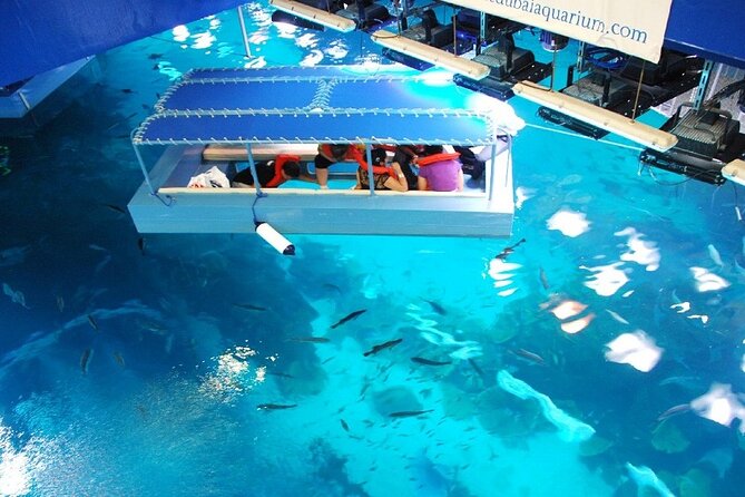 Dubai Aquarium & Underwater Zoo with Penguin Cove - The 48-meter tunnel is the main event