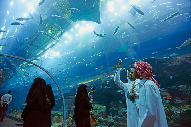 Dubai Aquarium & Underwater Zoo with Penguin Cove - The glass-bottom boat changes your viewpoint