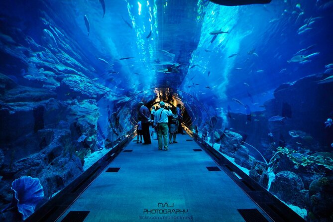 Dubai Aquarium & Underwater Zoo with Penguin Cove - Is $58.61 a fair price?