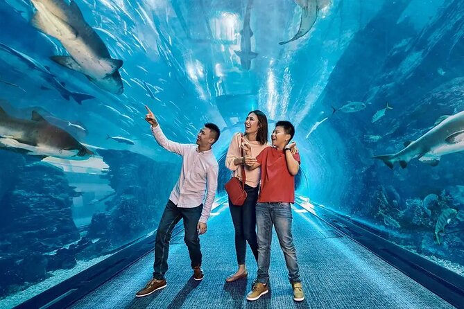 Dubai Aquarium UnderwaterZoo and Penguin cove Admission Ticket - The giant tank gives Dubai Aquarium its first impression