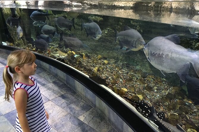 Dubai Aquarium UnderwaterZoo and Penguin cove Admission Ticket - Penguin Cove is the most distinctive part of the ticket
