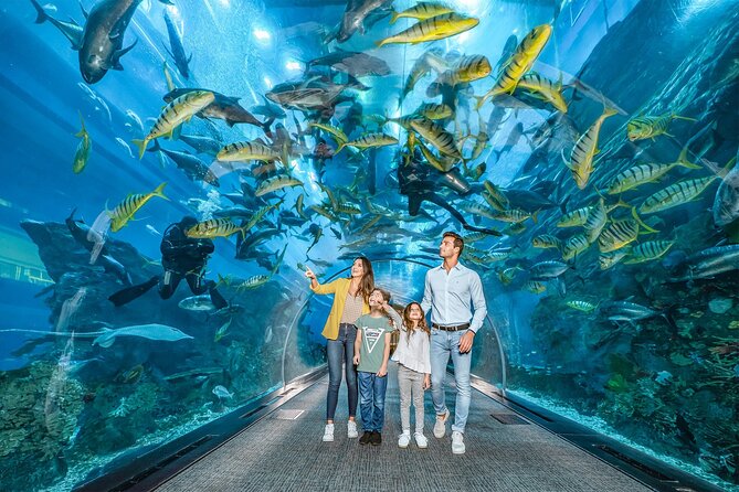 Dubai Aquarium UnderwaterZoo and Penguin cove Admission Ticket - Timing, transport, and the one to two-hour visit
